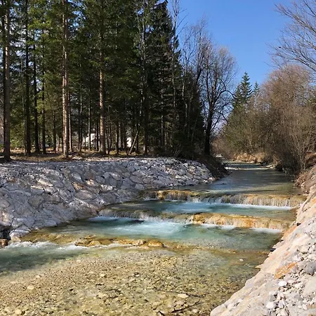 Vila Mojca Apartma Peridot - Center Kranjska Gora Exterior photo