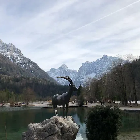 Vila Mojca Apartma Peridot - Center Kranjska Gora Exterior photo
