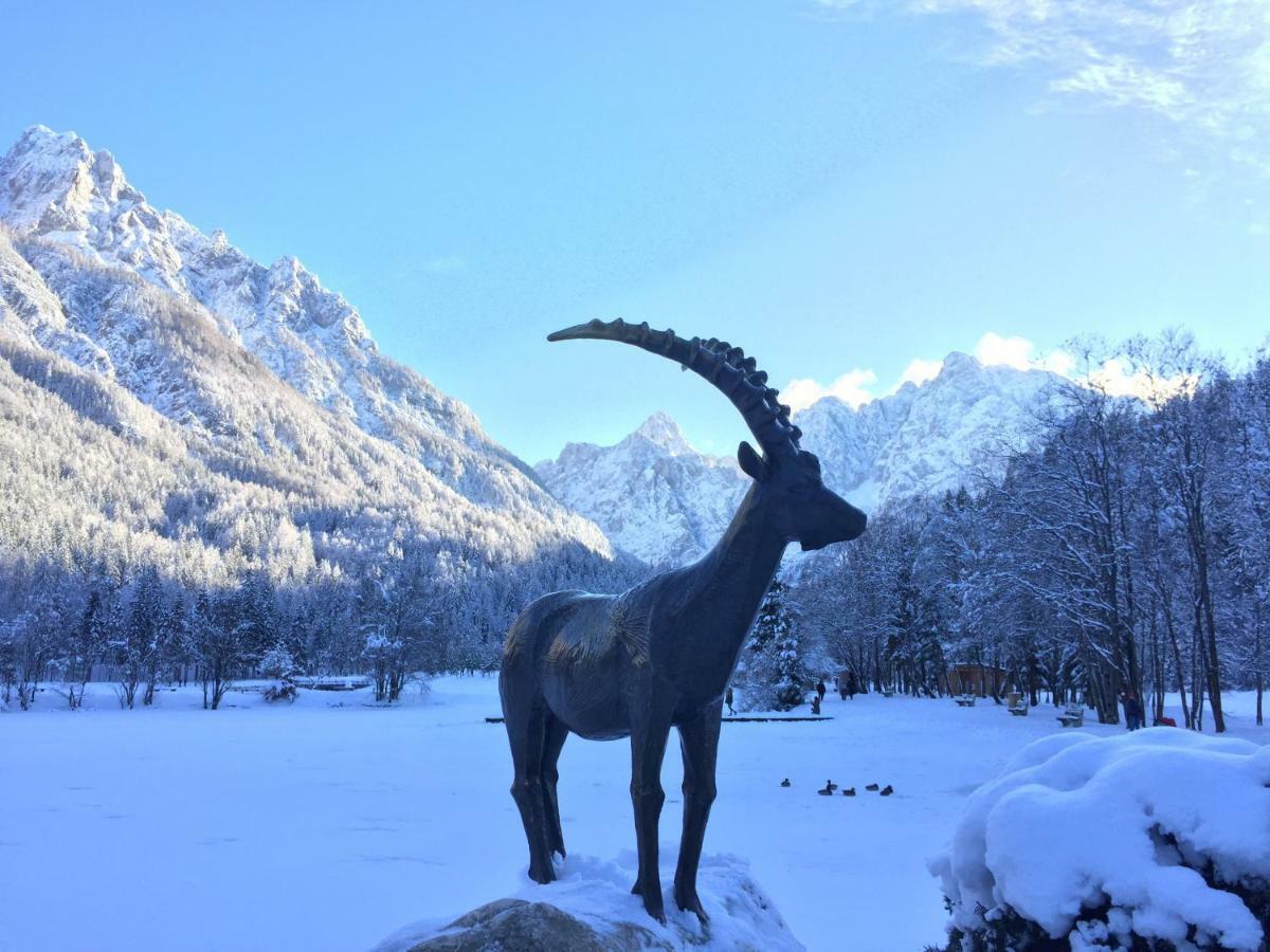 Mojca Apartma Peridot - Center Kranjska Gora