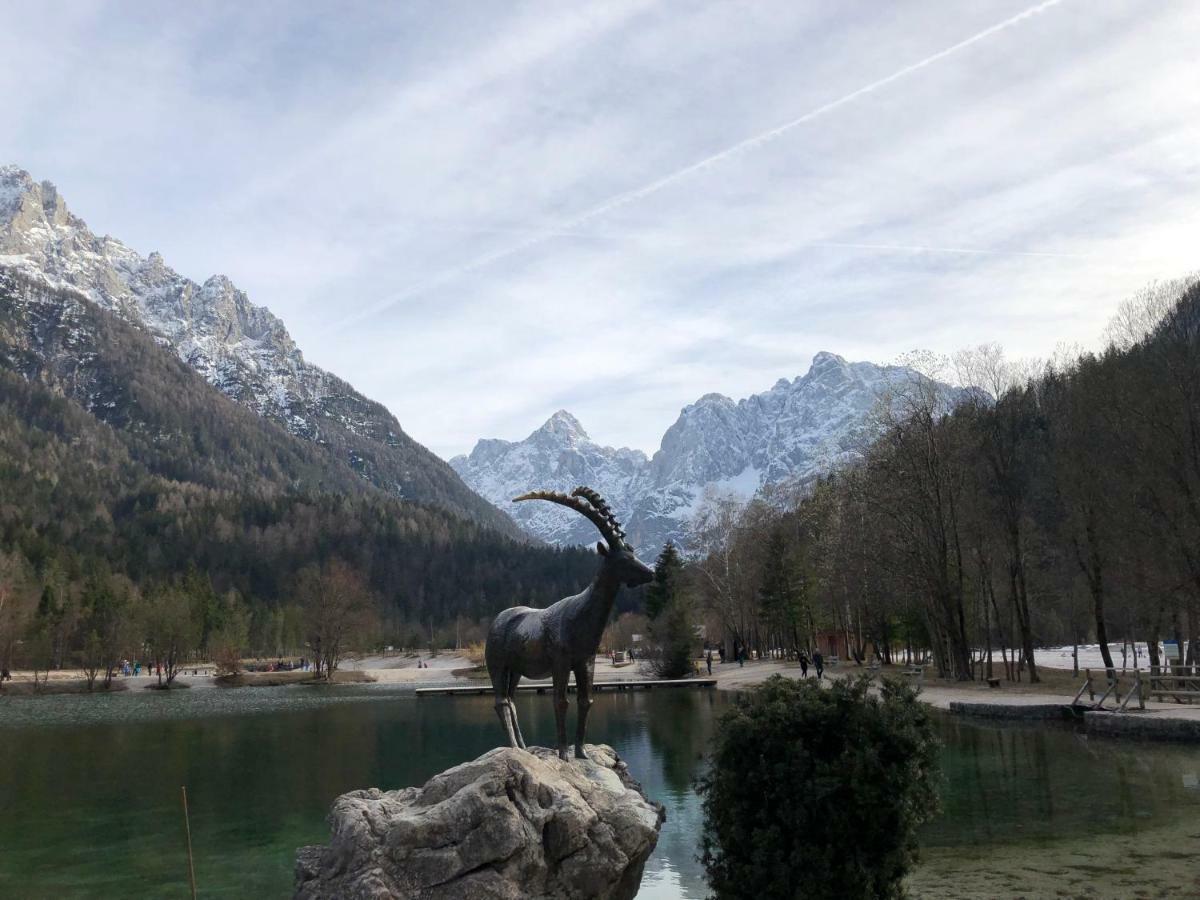 Mojca Apartma Peridot - Center Kranjska Gora