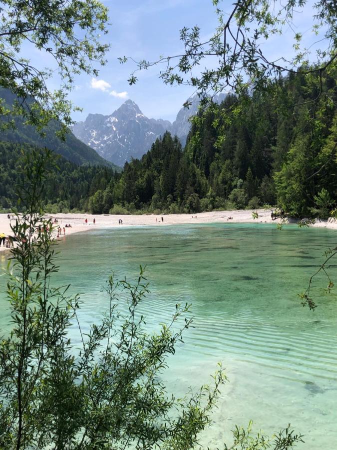 Mojca Apartma Peridot - Center Apartment Kranjska Gora